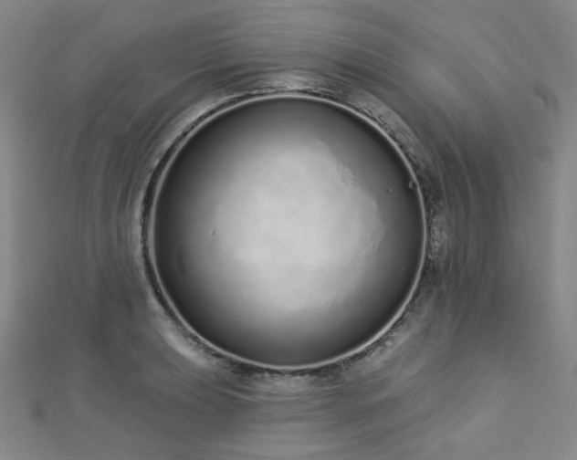 X0000112721039200908201244