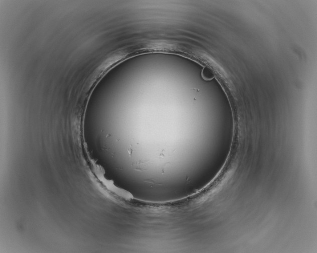 X0000112721041200908201244