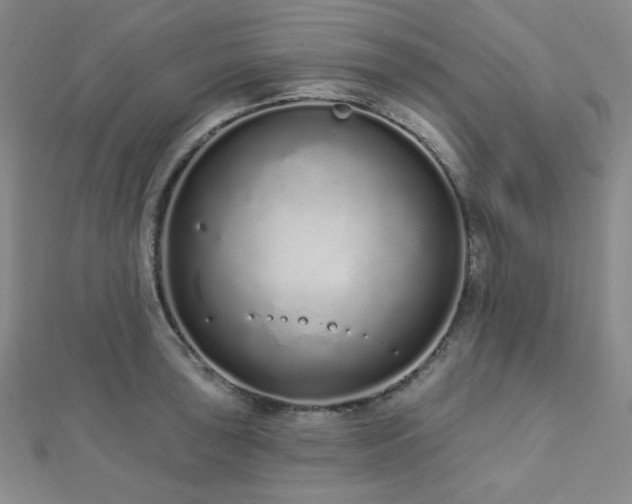 X0000112721043200908201244