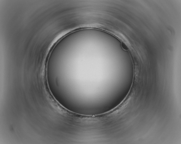 X0000112721044200908201244