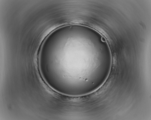 X0000112721047200908201244