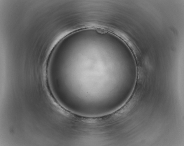 X0000112721048200908201244