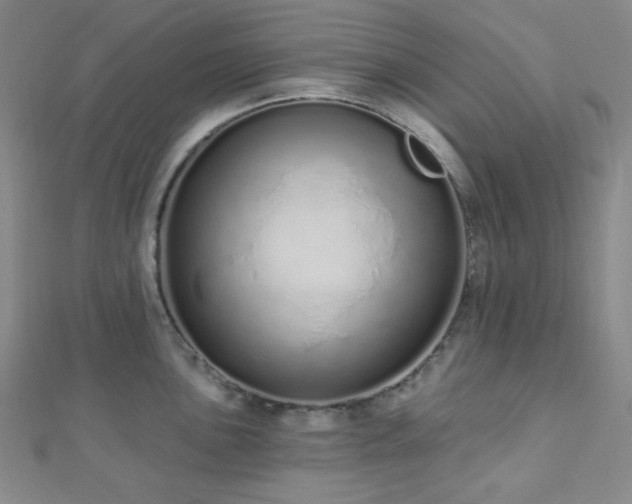 X0000112721051200908201244