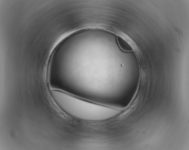 X0000112721052200908201244