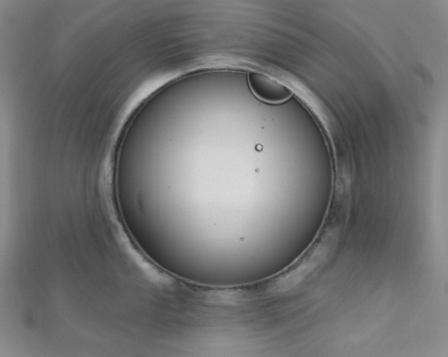 X0000112721053200908201244