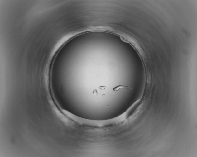 X0000112721054200908201244