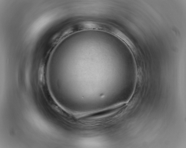 X0000112721055200908201244