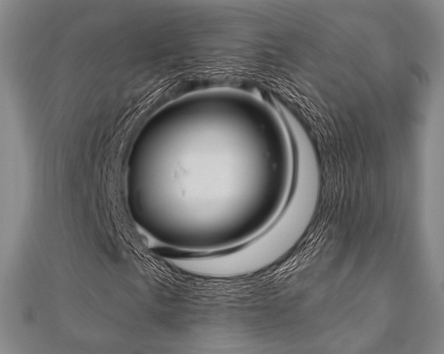 X0000112721057200908201243