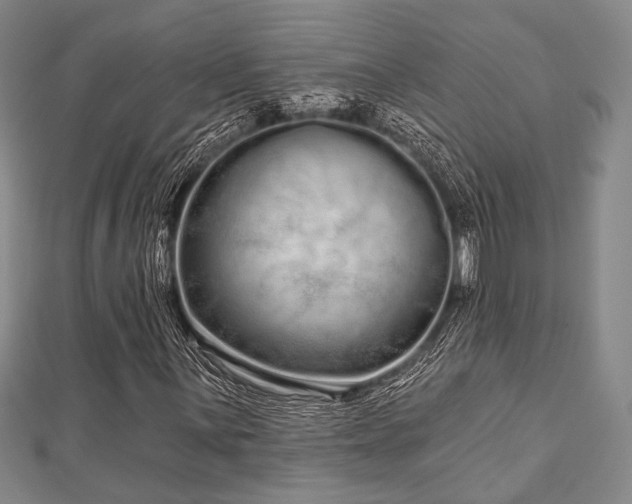 X0000112721059200908201243
