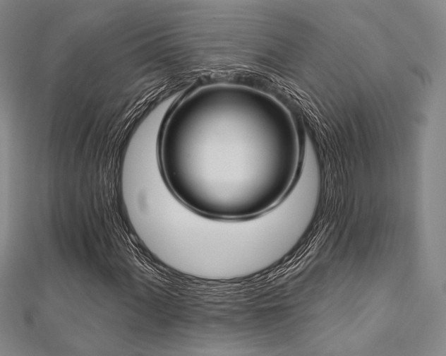X0000112721060200908201243