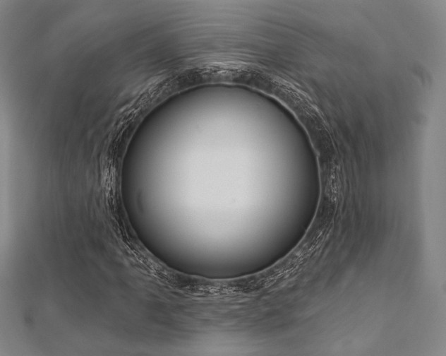 X0000112721061200908201243