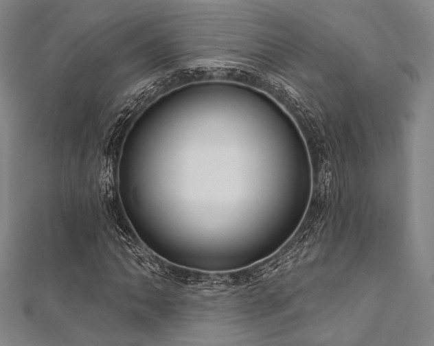 X0000112721062200908201243