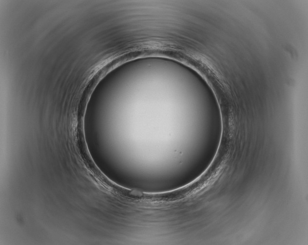 X0000112721065200908201243