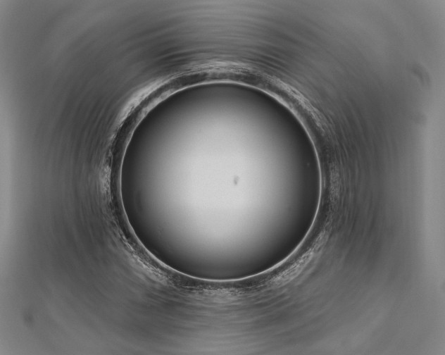 X0000112721066200908201243