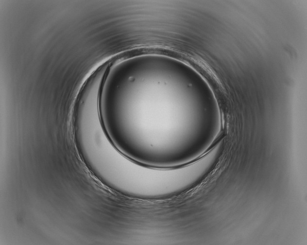 X0000112721068200908201243
