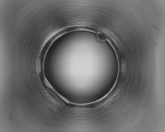 X0000112721069200908201243