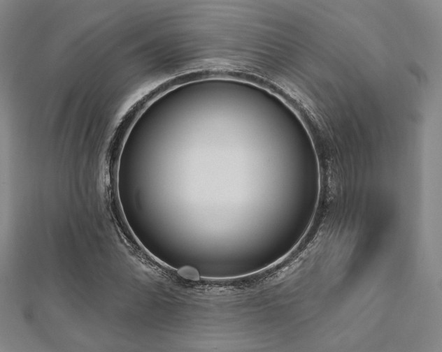 X0000112721070200908201243