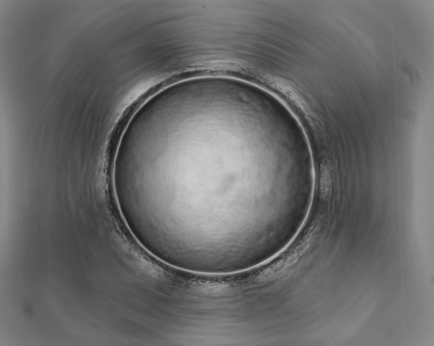 X0000112721071200908201243