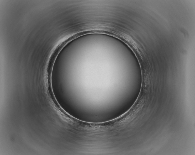 X0000112721072200908201243