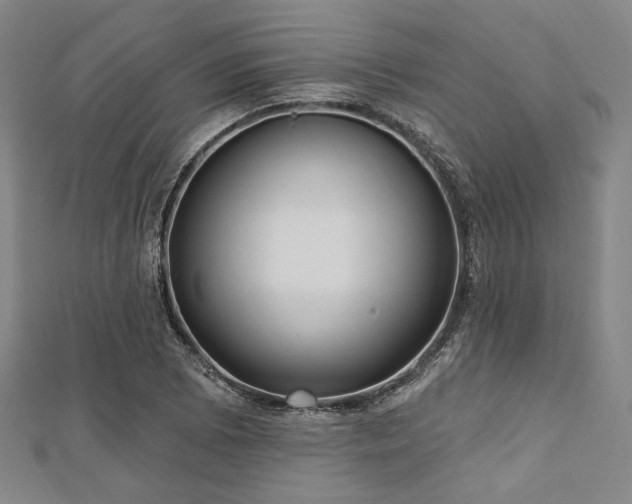 X0000112721073200908201243
