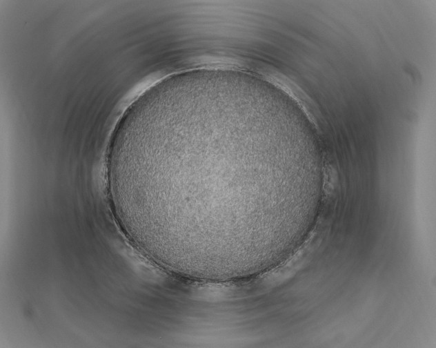 X0000112721074200908201243