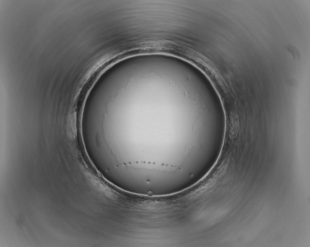 X0000112721075200908201243