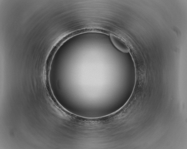 X0000112721076200908201243