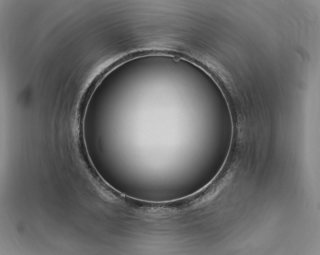 X0000112721077200908201243