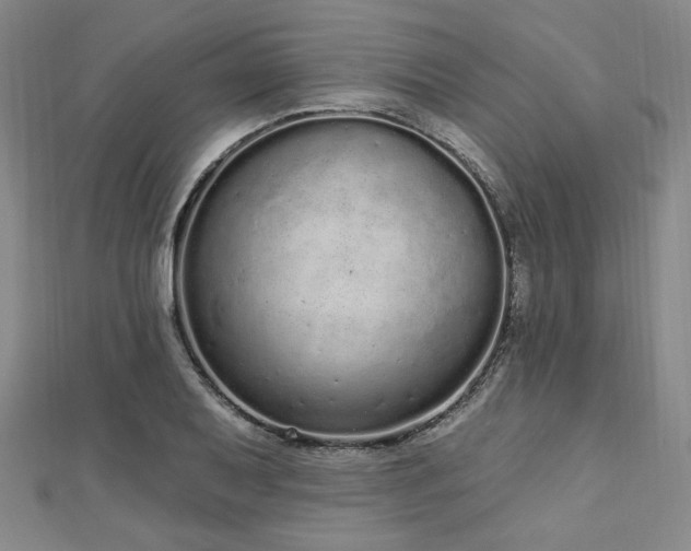 X0000112721079200908201243