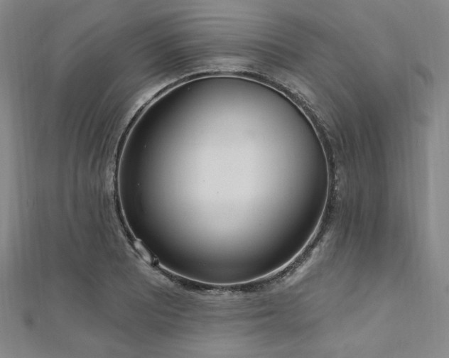 X0000112721081200908201243