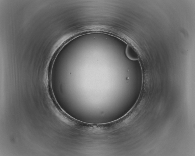 X0000112721082200908201243
