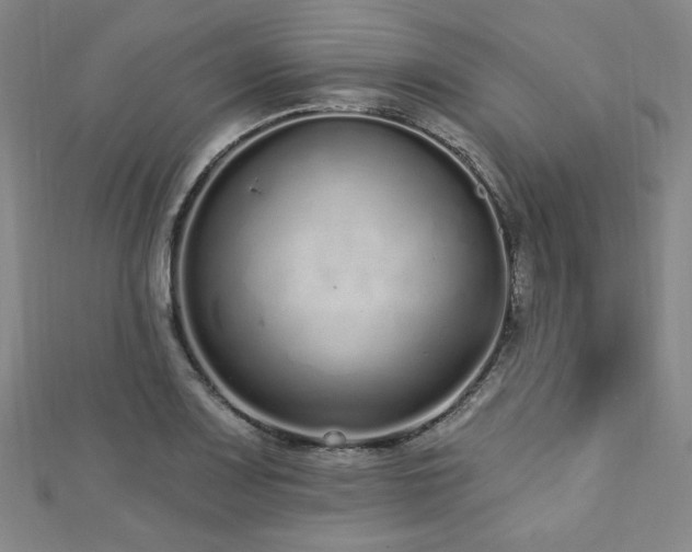 X0000112721083200908201243