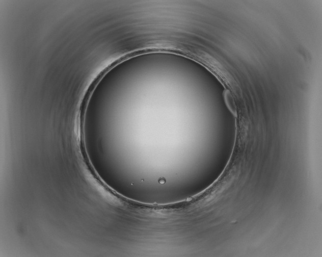 X0000112721084200908201243