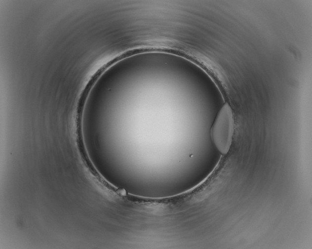 X0000112721085200908201243