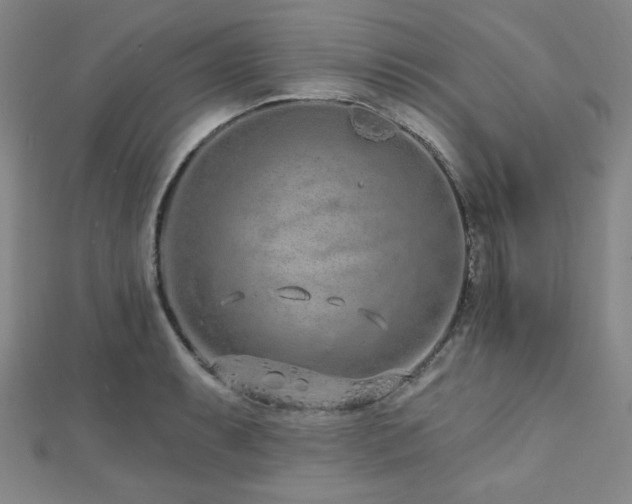 X0000112721087200908201243