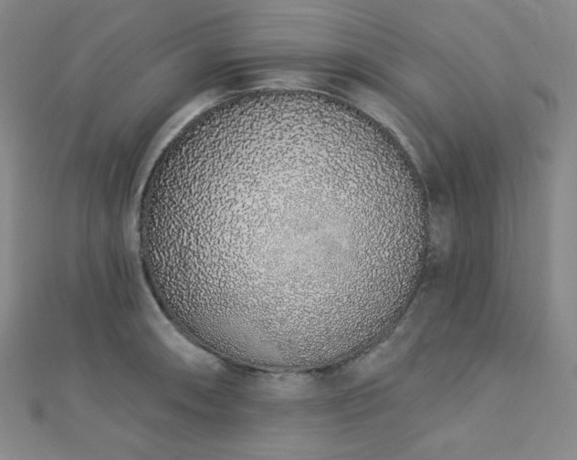 X0000112721090200908201243