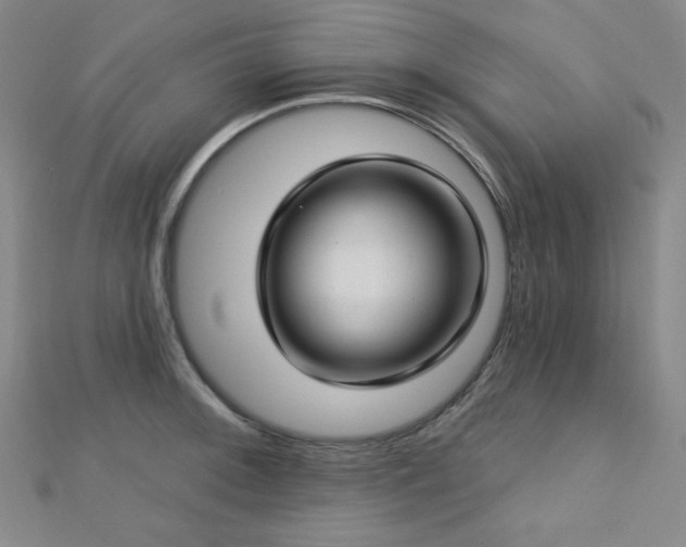 X0000112721092200908201243
