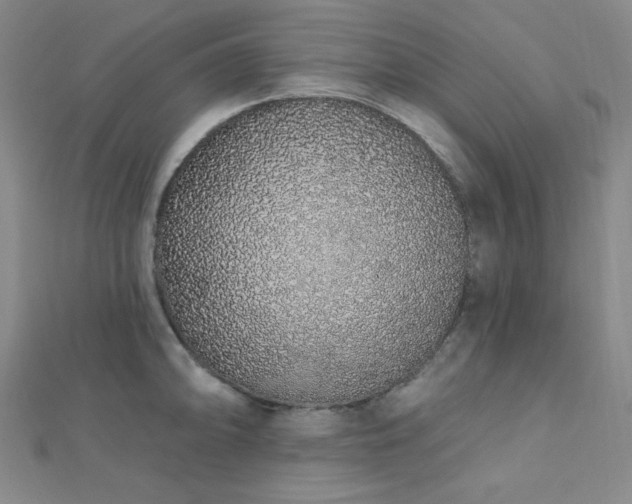 X0000112721094200908201243
