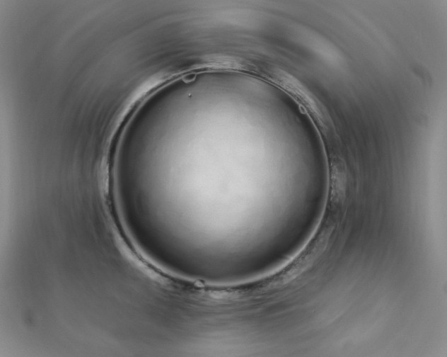 X0000112721095200908201243
