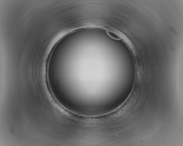 X0000112721096200908201243
