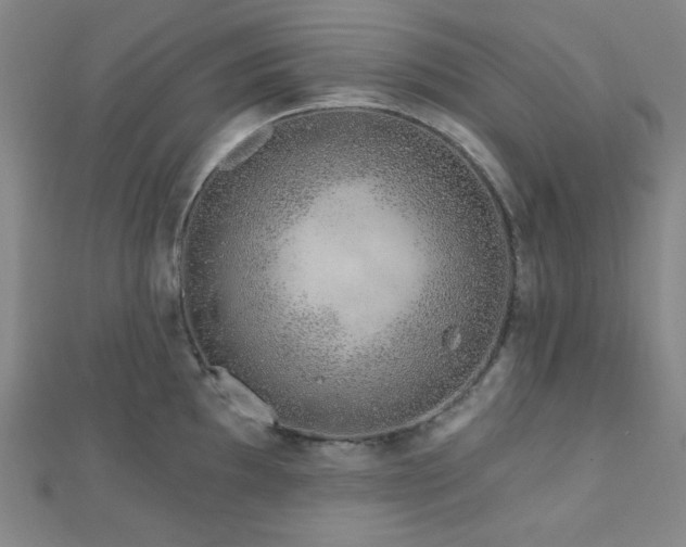 X0000112721097200908201243