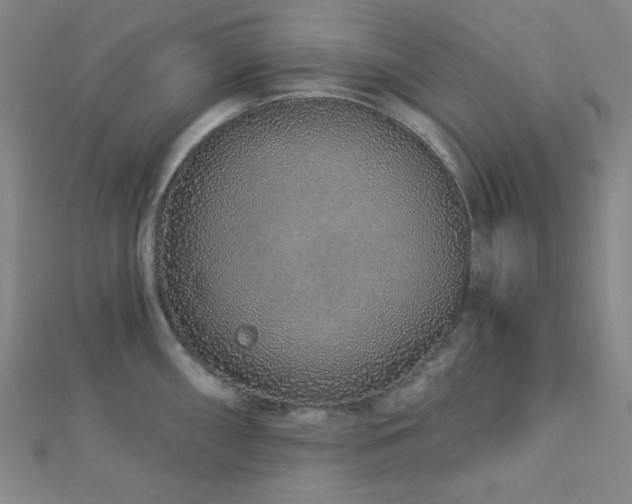 X0000112721098200908201243