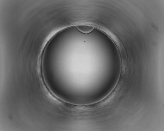X0000112721102200908201243