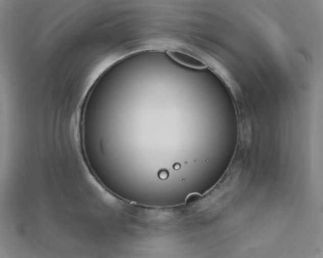 X0000112721103200908201243