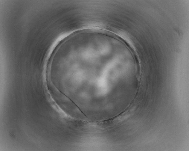 X0000112721104200908201243