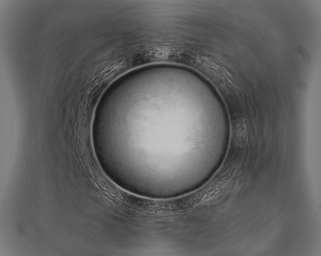 X0000112721105200908201242