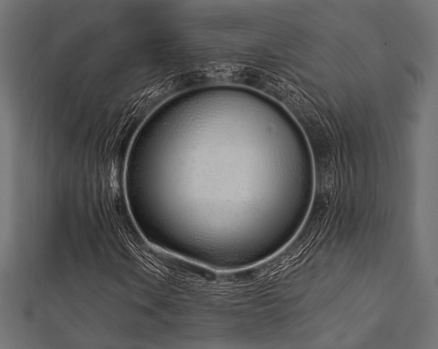 X0000112721106200908201242