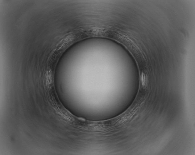 X0000112721107200908201242