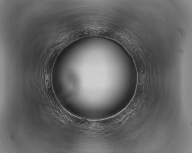 X0000112721109200908201242