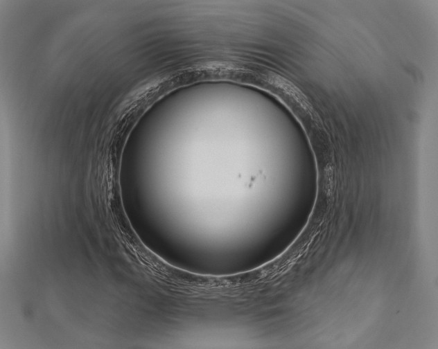 X0000112721111200908201242